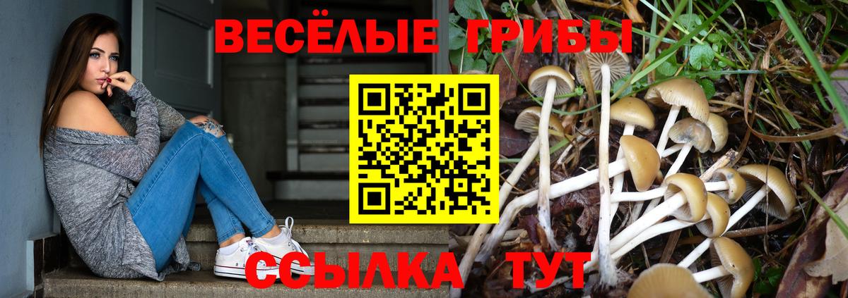 Назрань  Псилоцибиновые грибы мухоморы  Вход с VPN 